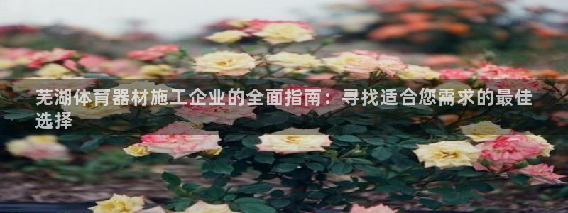 富联平台注册登录不了：芜湖体育器材施工企业的全面指南：寻找适
