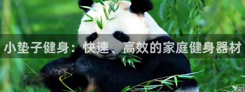 富联平台是什么平台：小垫子健身：快速、高效的家庭健身器材