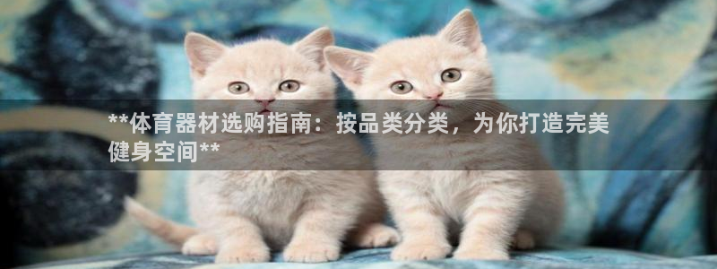 富联娱乐测速登录：**体育器材选购指南：按品类分类，