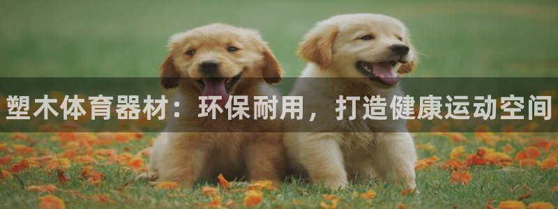 富联娱乐李 411O31 娱乐