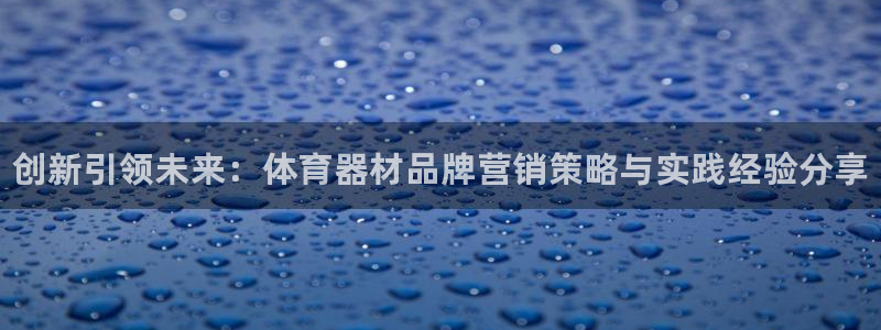 富联申购可以赚多少钱：创新引领未来：体育器材品牌营销策略与实