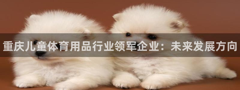 富联娱乐马 5O6917 娱乐：重庆儿童体育用品行业领军企业