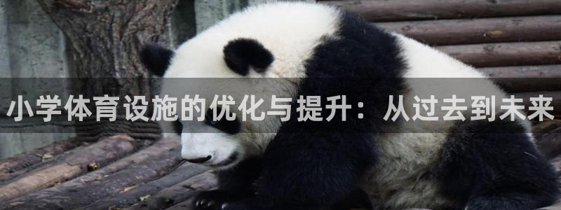 富联娱乐股东结构：小学体育设施的优化与提升：从过去到