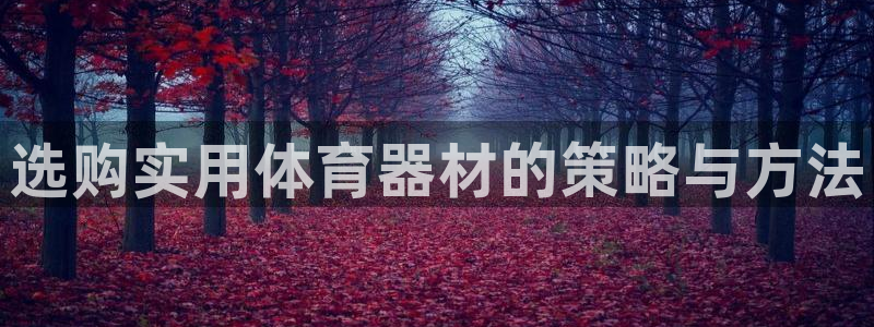 富联官网注册流程图：选购实用体育器材的策略与方法