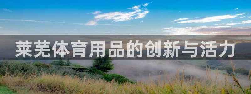 富联娱乐官方网站下载：莱芜体育用品的创新与活力