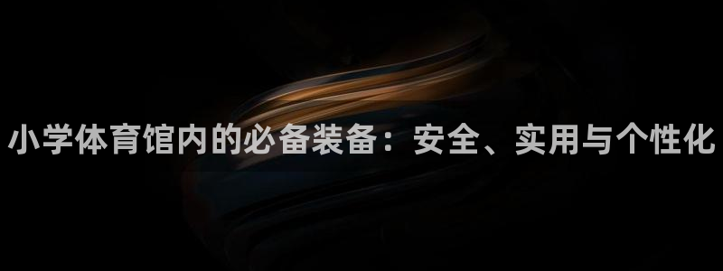 富联平台登录网址是什么：小学体育馆内的必备装备：安全、实用与