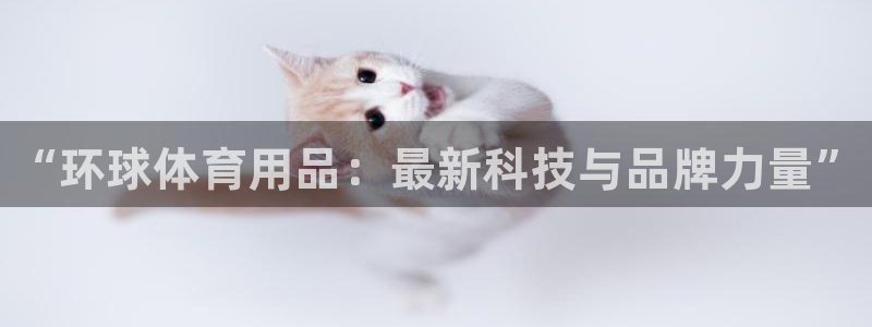富联平台系 5O6917 富联：“环球体育用品：最新科技与品