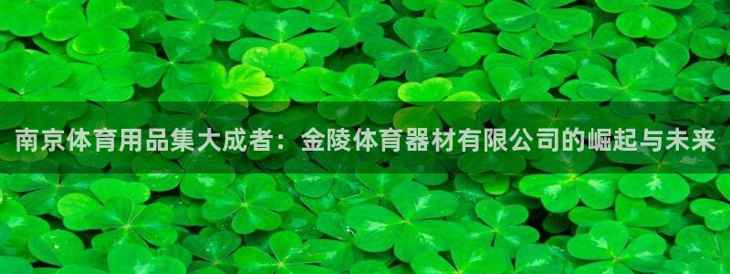 富联平台总代：南京体育用品集大成者：金陵体育器材有限公司的崛