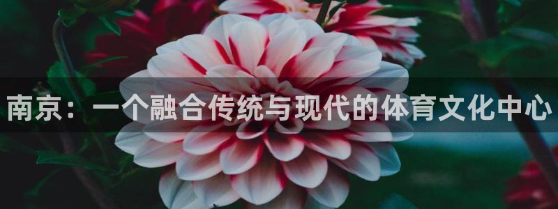 富联平台注册地址是哪里