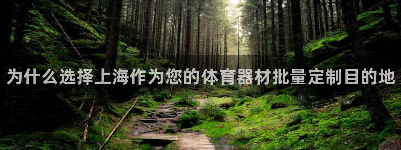 富联申购上市价格预测：为什么选择上海作为您的体育器材