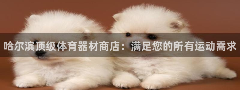 富联平台微信：哈尔滨顶级体育器材商店：满足您的所有运