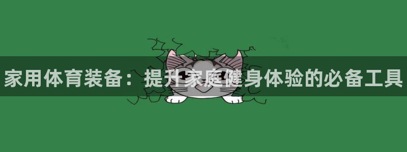 富联官网注册流程视频:家用体育装备:提升家庭健身体验的必备工