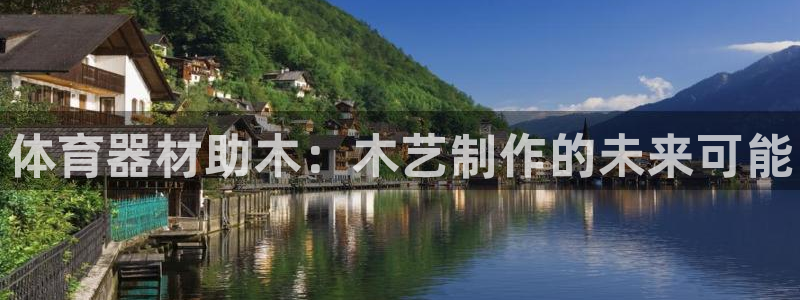 富联是什么软件：体育器材助木：木艺制作的未来可能